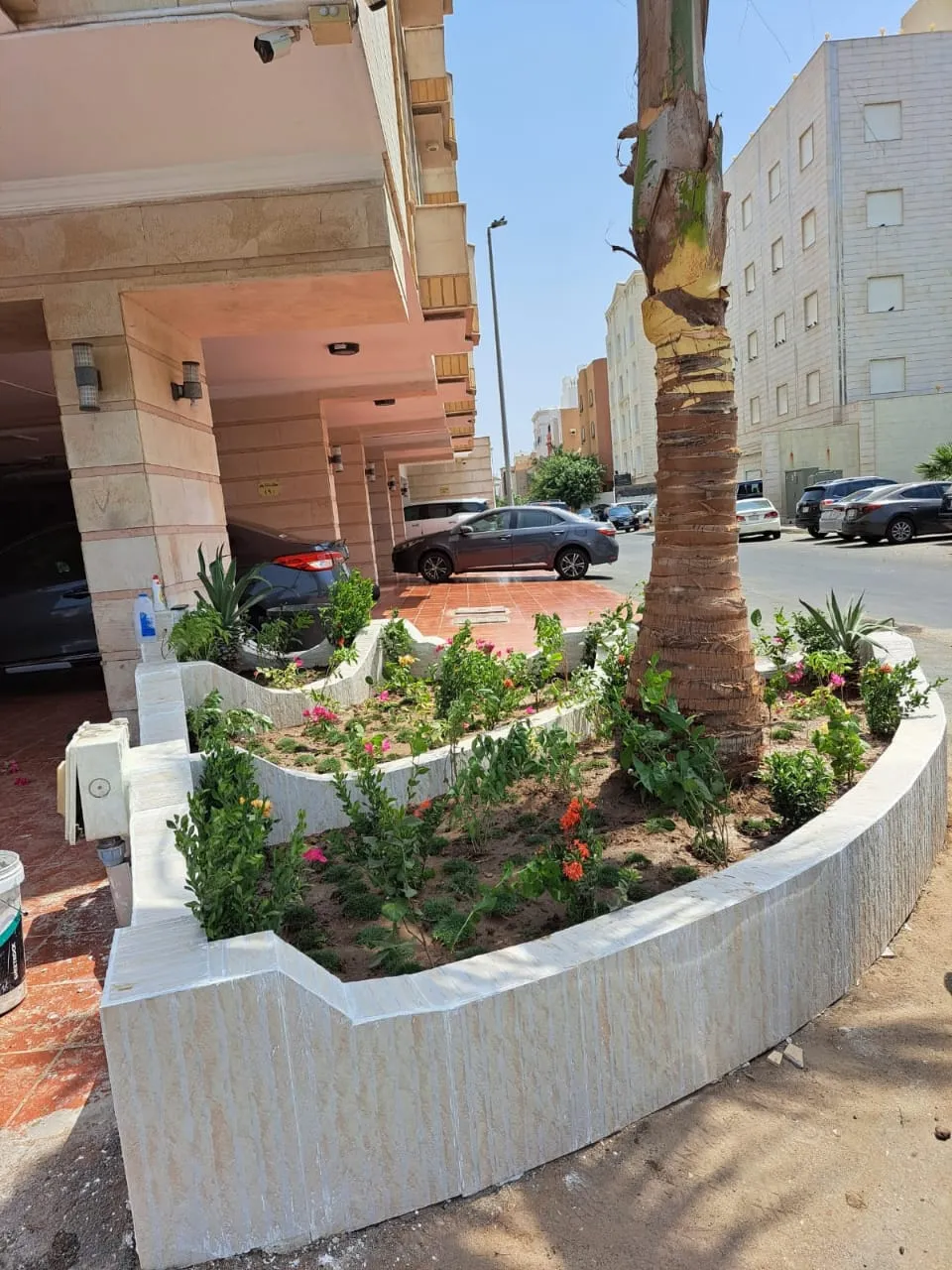 تركيب نخيل وقص اشجار