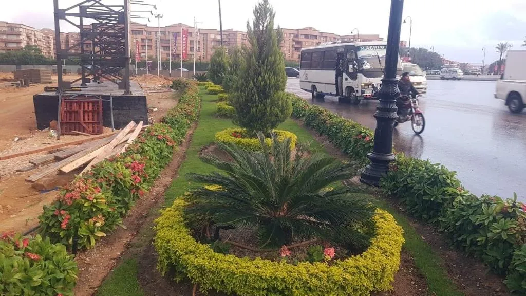 تركيب نخيل وقص اشجار