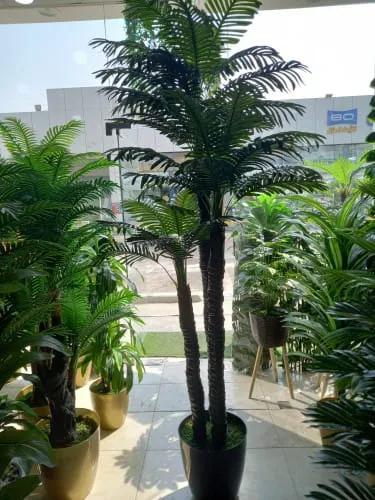 تركيب نخيل وقص اشجار